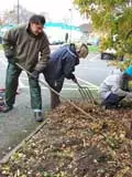 Three Rotary Club members gardening at Abingdon Community Hospital