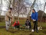 Four Rotary Club members gardening at Abingdon Community Hospital