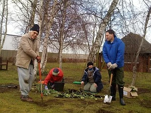 Four Rotary Club members gardening at Abingdon Community Hospital