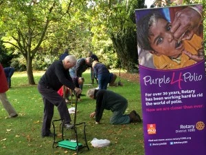 Planting crocuses in Albert Park