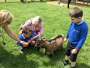 KidsOut day at Cotswold Wildlife Park